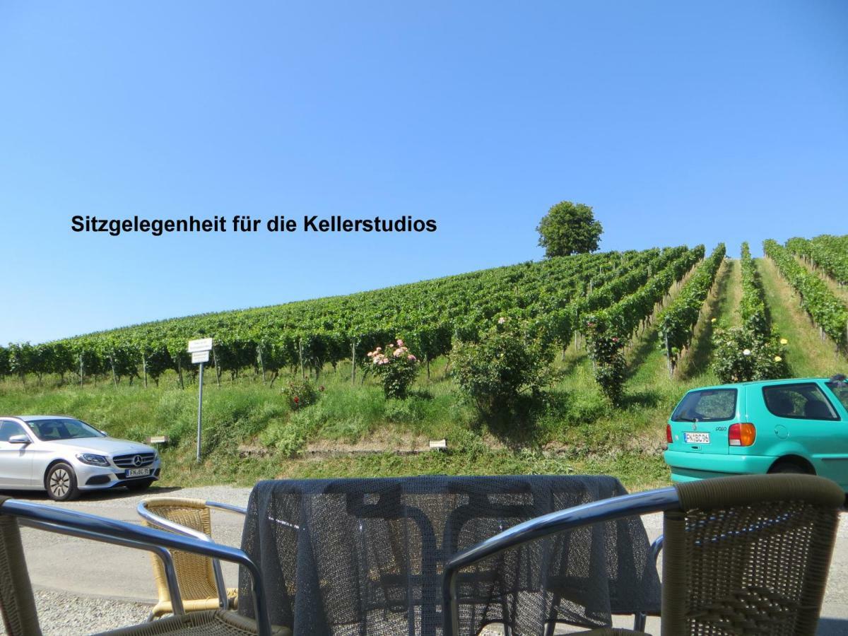 Gaestehaus Sommertal Mit Pool Im Garten, Eigener Parkplatz, 800M Zum Bodensee, 300M Zur Altstadt Meersburg Exterior photo